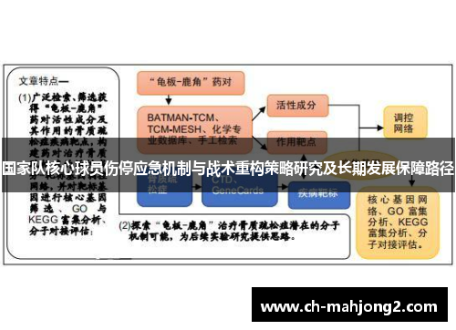 国家队核心球员伤停应急机制与战术重构策略研究及长期发展保障路径