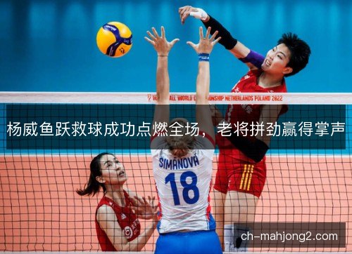 杨威鱼跃救球成功点燃全场，老将拼劲赢得掌声